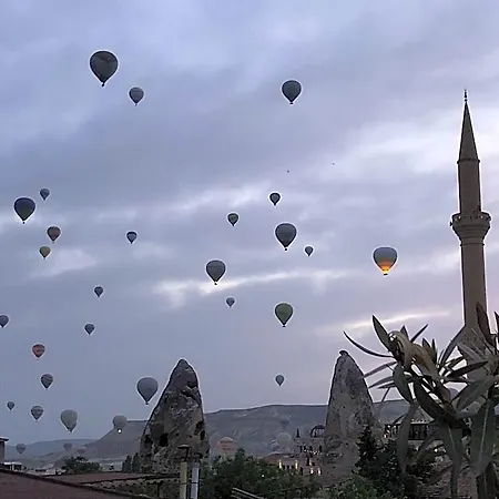 فندق Relic House غوريمِيه